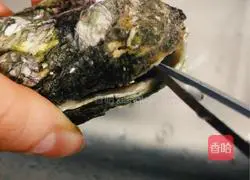 Super simple and easy to use grilled oysters illustration 3