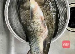 Illustration of how to cook crucian carp with edamame 2