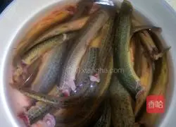 How to make loach stewed with tofu Illustration 1