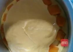 Mango Mousse Recipe Illustration 8