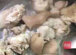 Illustration of Braised Pork Trotters 3