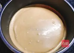 Yoghurt Chocolate Mousse Recipe Illustration 11