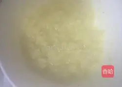 Cheese Illustration of grilled scallops 4