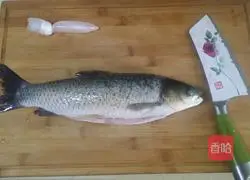 Illustration of how to make Sichuan spicy boiled fish 1