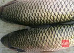 Illustration of how to make spicy fish 1