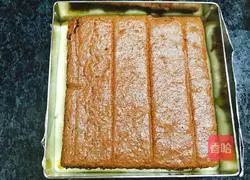 Cocoa Mango Mousse Recipe Illustration 10