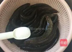 Illustration of braised loach in sauce 2