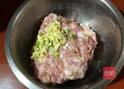 Illustration of how to make dry croquettes 1