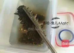 Illustration of how to make sea cucumbers 3