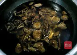 Northeast Mushroom Sauce Recipe Illustration 3