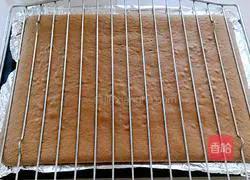 Cocoa Cream Cake Roll Recipe Illustration 15