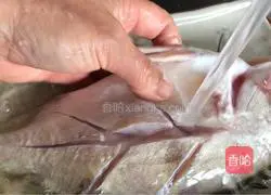 Illustration of braised mandarin fish 3