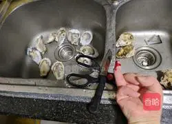 Roasted garlic oysters recipe 4