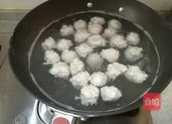 Fishballs in clear soup Illustration of how to do it 7