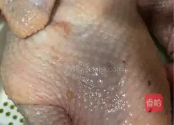 Illustration of how to make Cantonese-style chicken drizzled with red onions 1