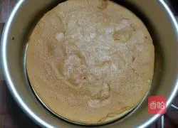 Mixed Fruit Crystal Mousse Cake Recipe Illustration 11