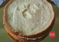 Mango Cream Cake Recipe Illustration 6