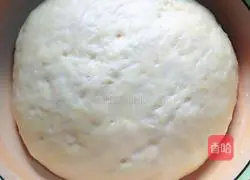 Tomato cheese pizza recipe 6