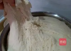 Cantonese-style glutinous rice rolls recipe 12