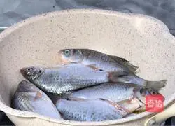 Spicy crispy bone fish recipe 4