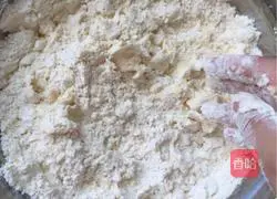 Illustration of how to make homemade apple pie 9