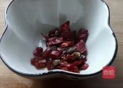 Illustration of Homemade Kung Pao Chicken 5