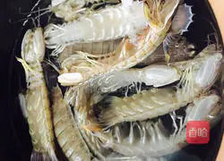 Steamed Pipi Shrimp Illustration 1