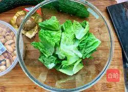 Cheese Salad Bento Recipe Illustration 2