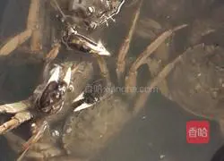 Illustration of how to make steamed river crab 1