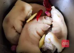 Recipe for pork trotters jelly Illustration 5