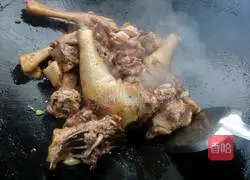 Little Chicken Illustration of stewed mushrooms 7