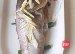 Illustration of steamed grouper 3