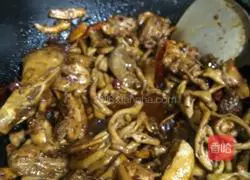 Braised Beer Duck Recipe Illustration 10