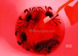 Illustration of how to steam crabs 4