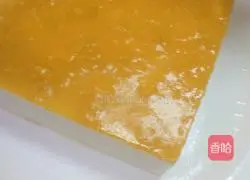 Cheese Mousse Recipe Illustration 5