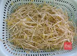Illustration of how to make bean sprouts and vermicelli in hot pot 1