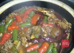 Illustration of braised beer duck 15