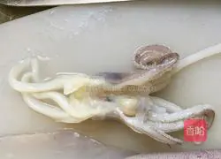 Korean Spicy Grilled Squid Recipe Illustration 3