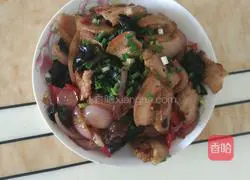 Illustration of Sichuan Style Twice-cooked Pork 4