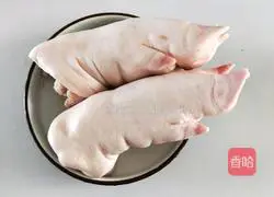 Illustration of Braised Pork Trotters 2