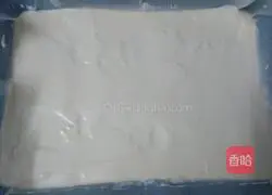 Lemon Chocolate Cake Roll Recipe Illustration 2