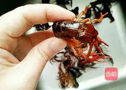 Illustration of braised crayfish in oil 1