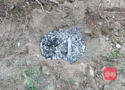 Illustration of How to Make Beggar's Chicken 7