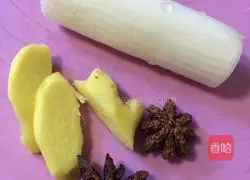 Illustration of homemade meat floss 6