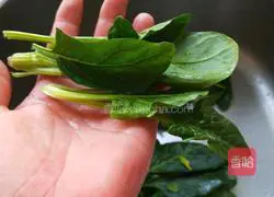 Illustration of how to make scrambled eggs with fungus, spinach and eggs on the fifteenth day of the first lunar month 1