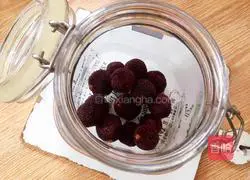 Illustration of homemade bayberry wine 4