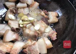 Illustration of Braised Pork Recipes 10