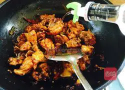 Potato Spicy Chicken Recipe Illustration 11