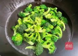 Illustration of Stir-fried Broccoli with Scallops and Shrimp 4