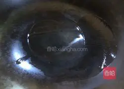 Illustration of how to make tomato sauce chicken wings 4